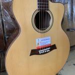 Guitar Acoustic Gỗ Cẩm Ấn MP-A6