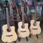 Đàn Guitar Acoustic gỗ hồng đào dáng D khuyết MP-A11