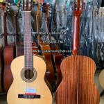 Đàn guitar classic gỗ Cẩm Ấn nguyên tấm cao cấp