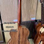 Đàn Guitar Phím Lõm Gỗ Điệp Kỹ MP-VC5