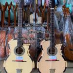 Đàn Guitar Phím Lõm Gỗ Hồng Đào Bắc Phi MP-VC4